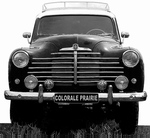 Renault Colorale Prairie 1955